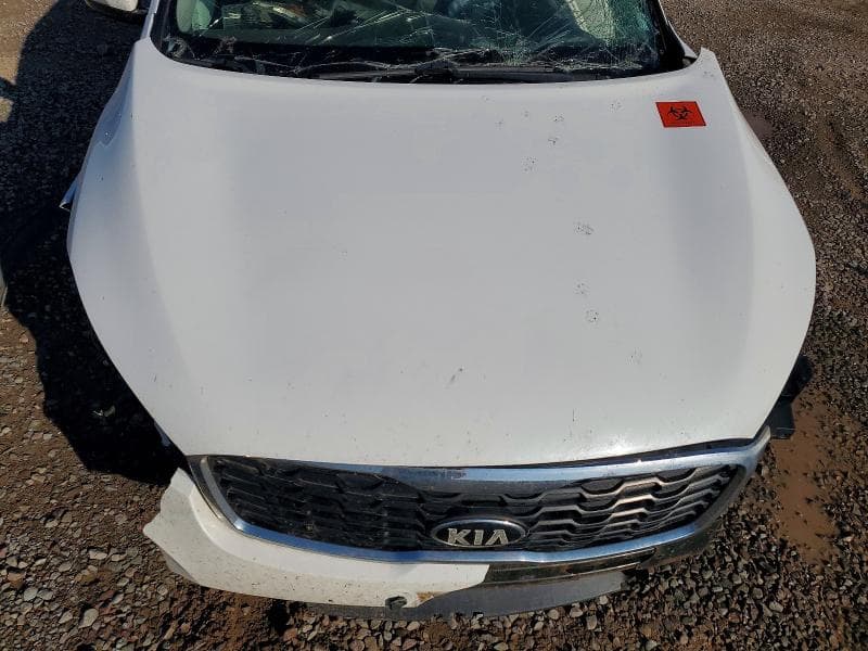 2019 KIA SORENTO LX 12