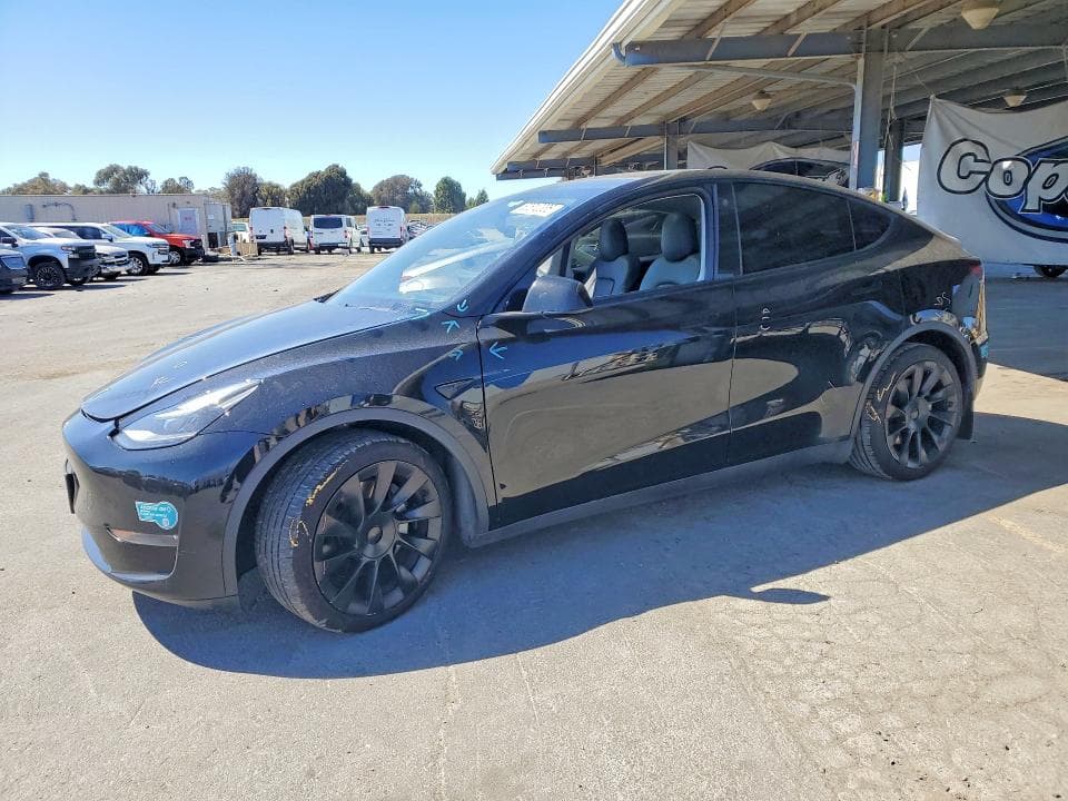 2021 TESLA MODEL Y - 1