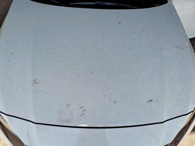 2024 NISSAN ALTIMA S 11