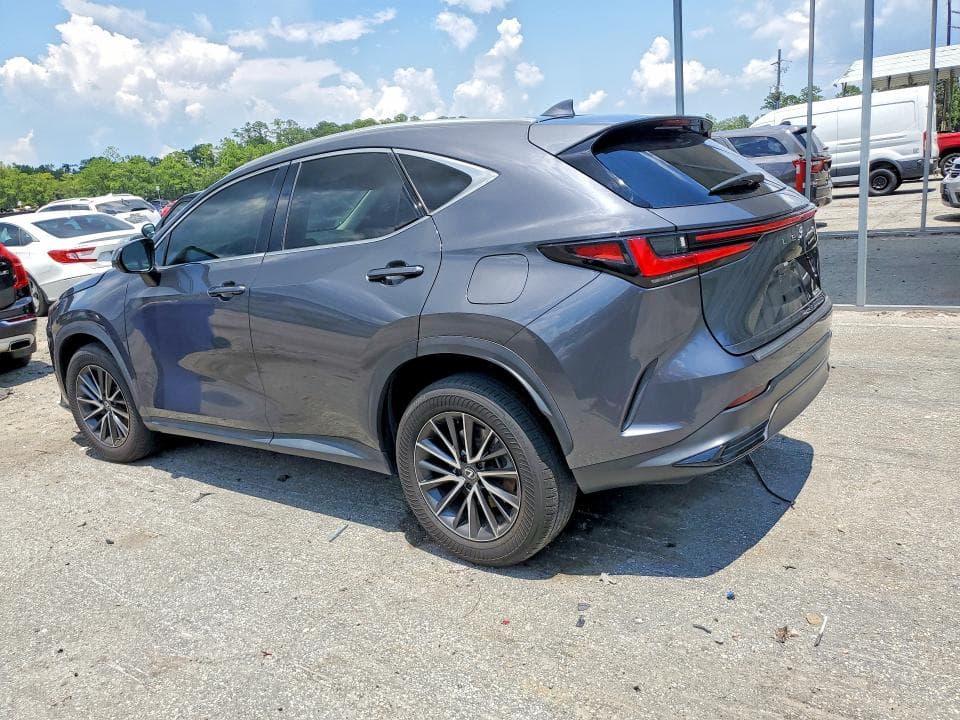 2024 LEXUS NX 250 BASE 2