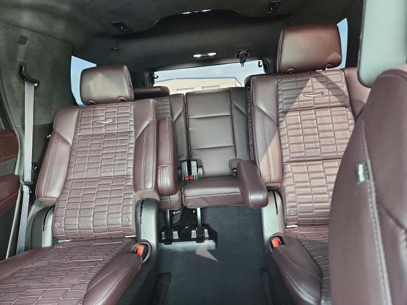 2021 CADILLAC ESCALADE PREMIUM LUXURY PLATINUM 10