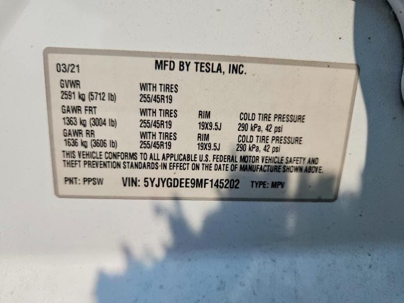 2021 TESLA MODEL Y 13