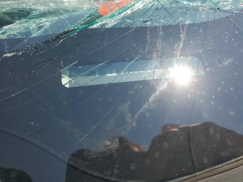 2023 TESLA MODEL 3 12