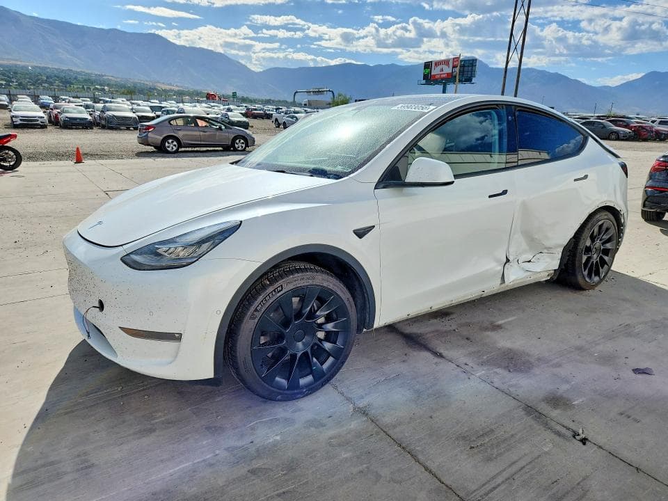 2021 TESLA MODEL Y - 1