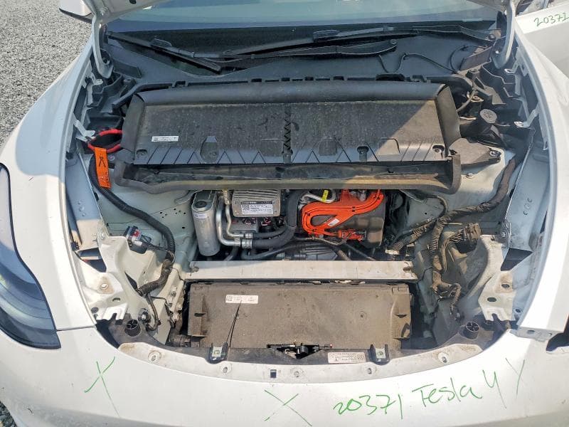 2025 TESLA MODEL Y 11
