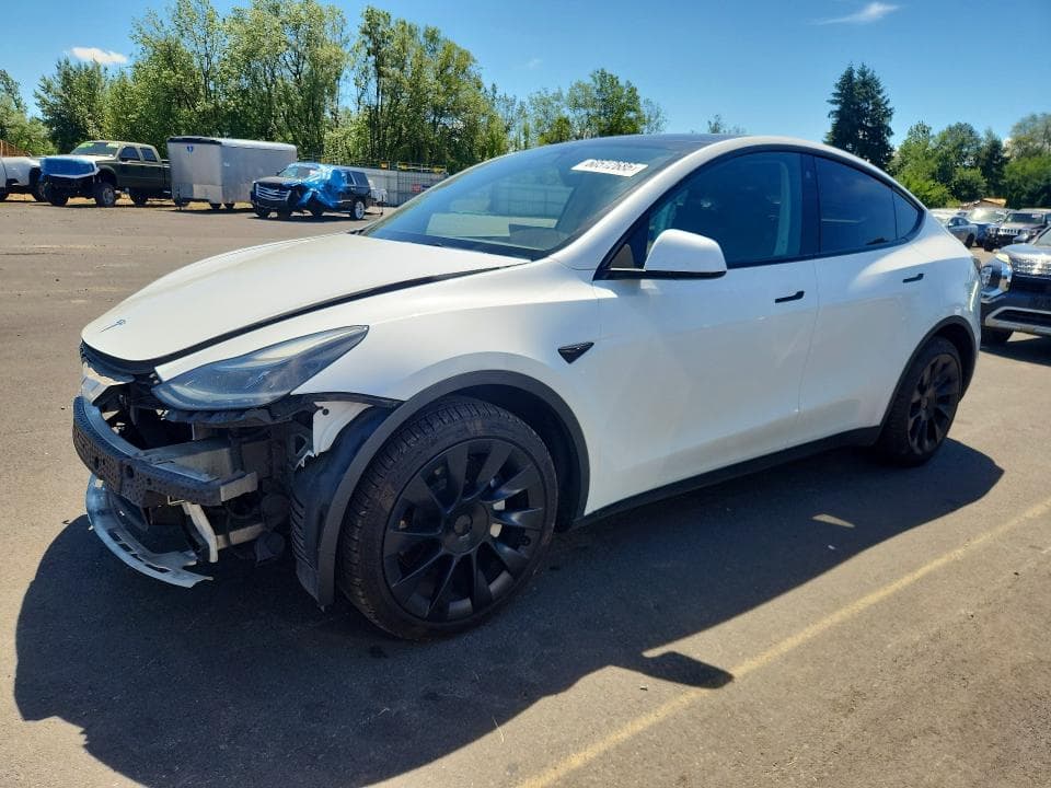2022 TESLA MODEL Y - 1