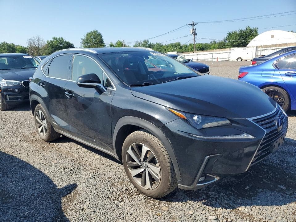 2020 LEXUS NX 300H 4