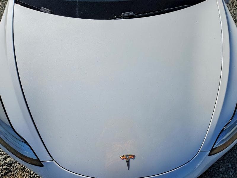 2019 TESLA MODEL 3 11