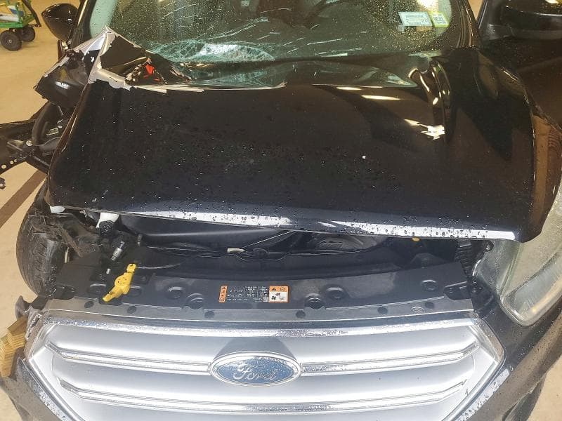 2017 FORD ESCAPE SE 12