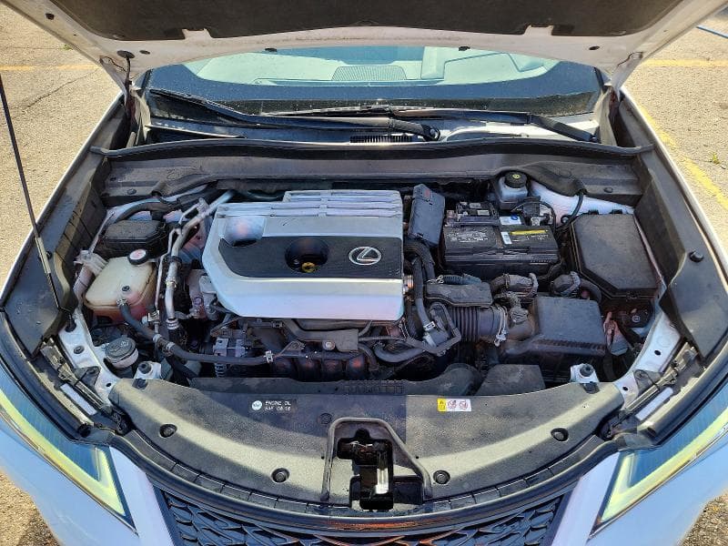 2019 LEXUS UX 200 12