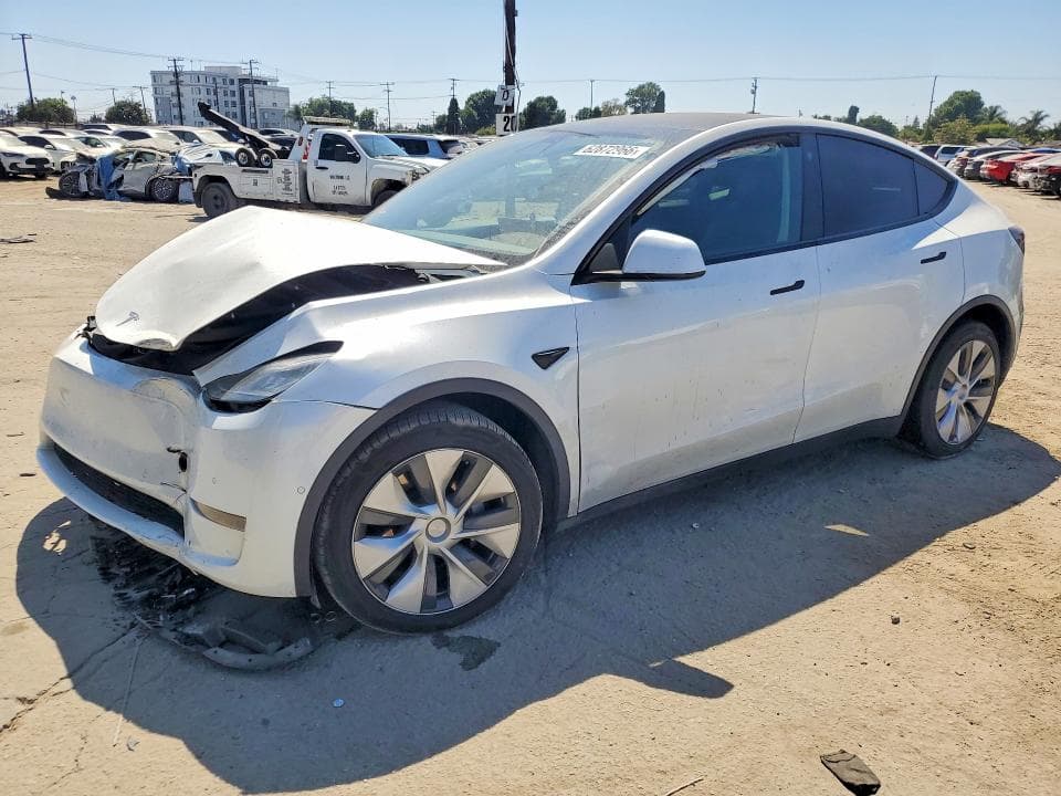2021 TESLA MODEL Y - 1