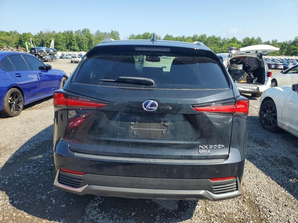 2020 LEXUS NX 300H 6