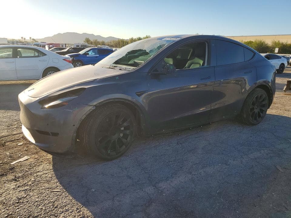 2021 TESLA MODEL Y - 1