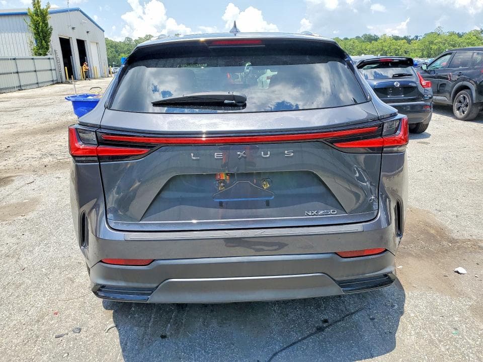 2024 LEXUS NX 250 BASE 6