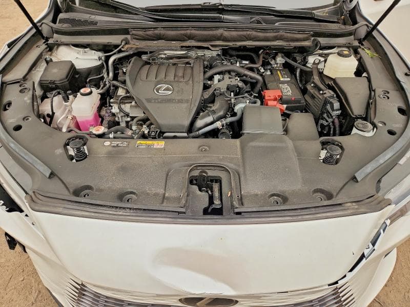 2024 LEXUS RX 350 PREMIUM 12