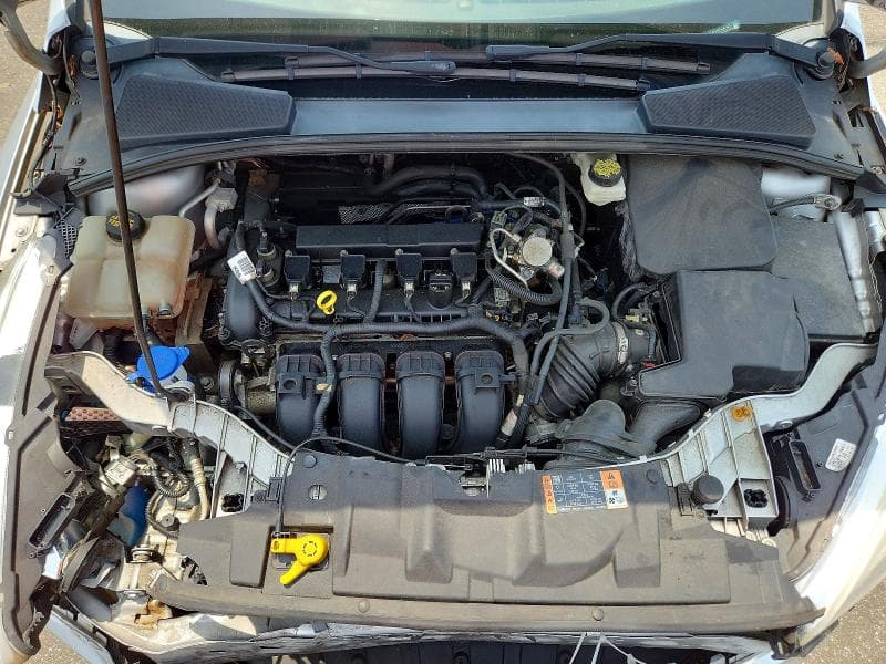 2017 FORD FOCUS SE 11