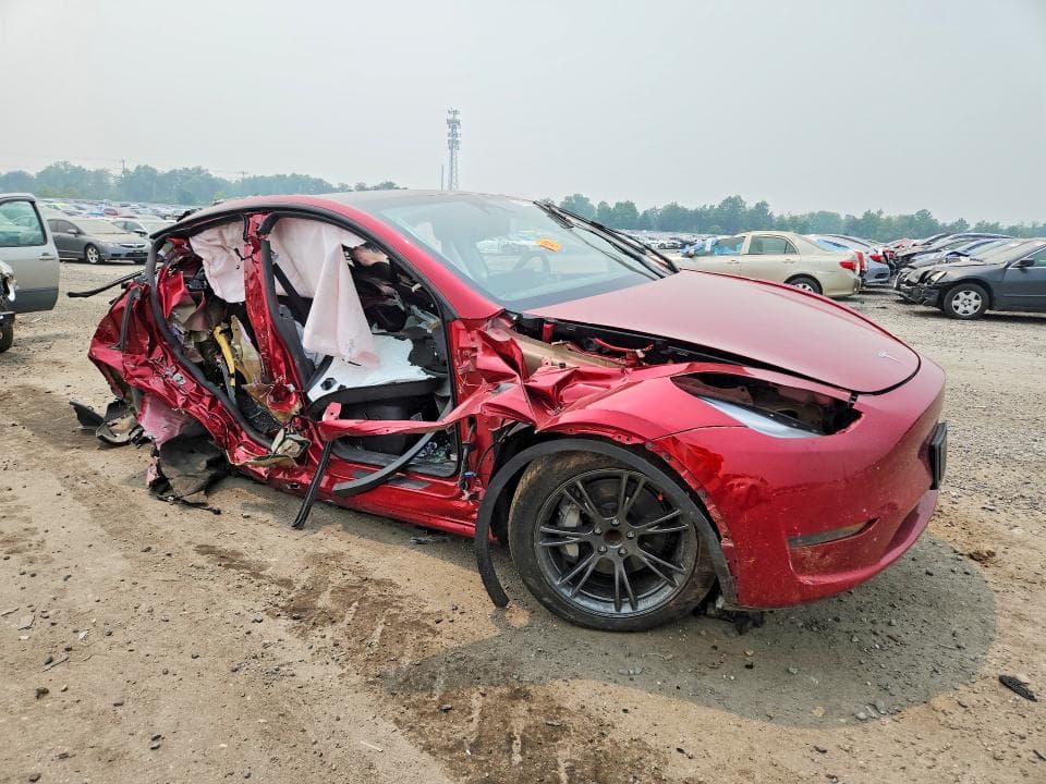 2024 TESLA MODEL Y 4