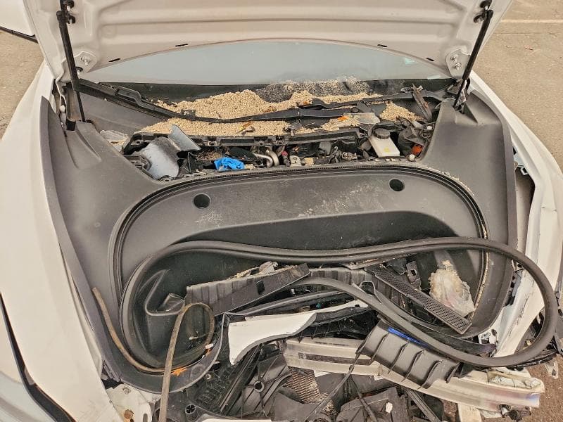 2021 TESLA MODEL 3 11