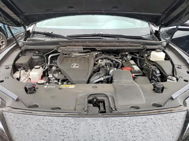2024 LEXUS RX 350 PREMIUM 12