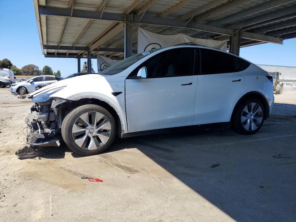2023 TESLA MODEL Y - 1