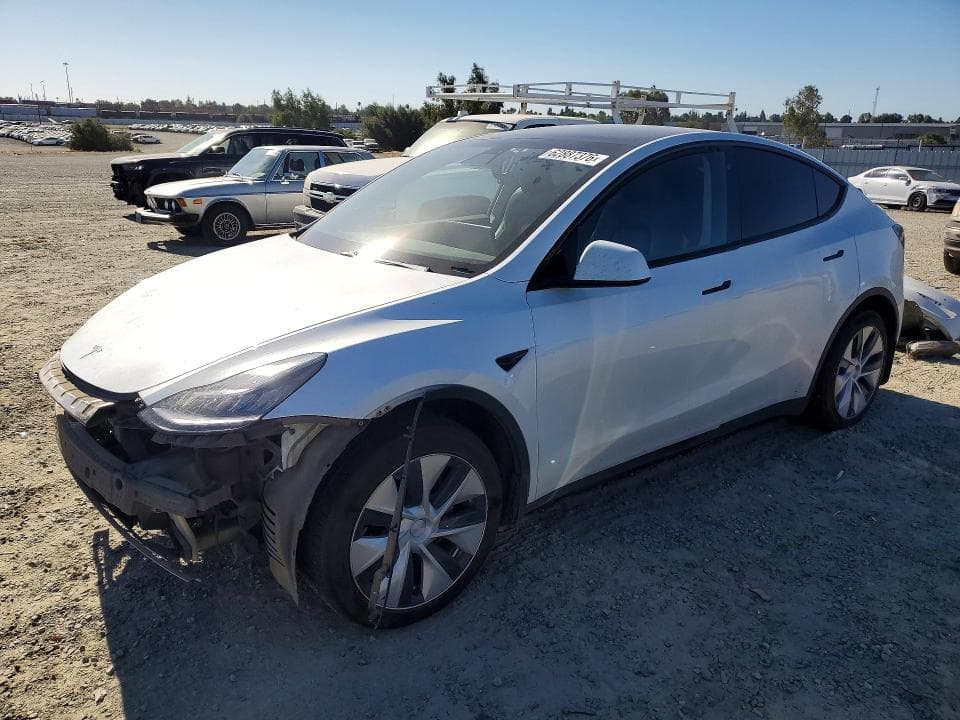 2020 TESLA MODEL Y - 1