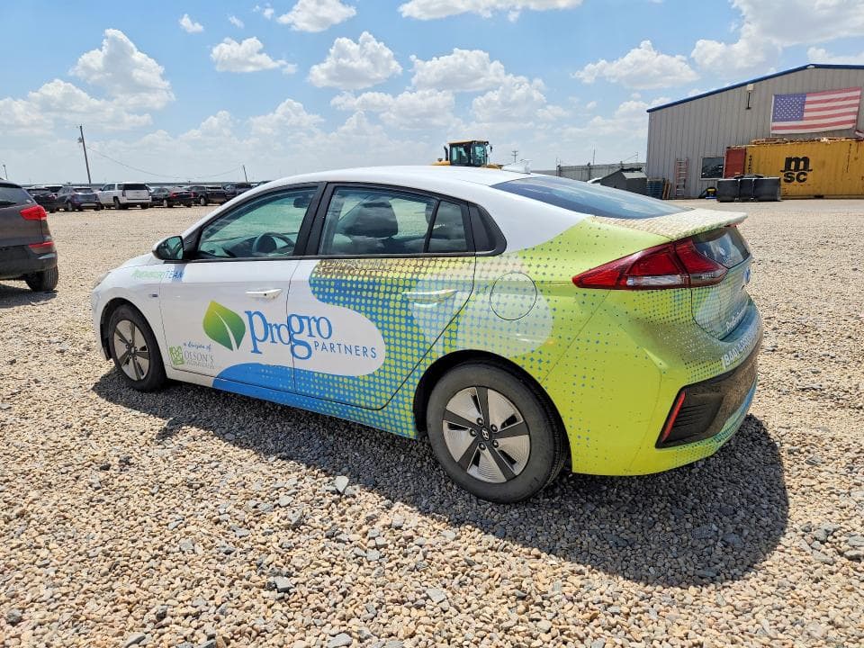 2019 HYUNDAI IONIQ BLUE 2