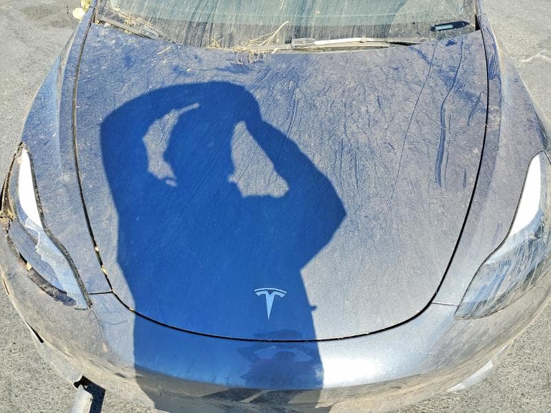 2023 TESLA MODEL 3 11
