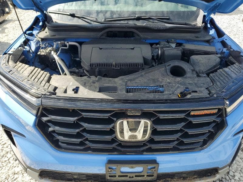 2024 HONDA PILOT TRAILSPORT 12