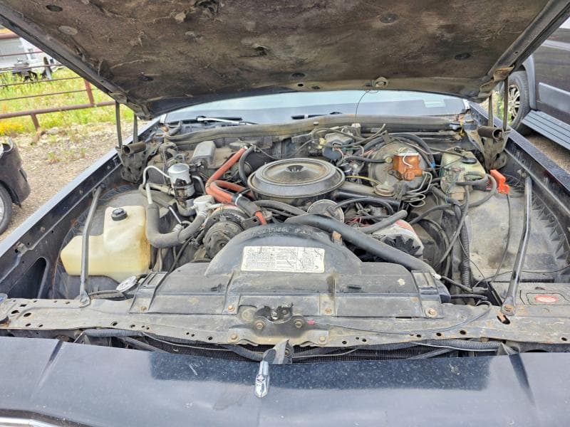 1980 OLDSMOBILE DELTA 88 ROYALE BRO 6