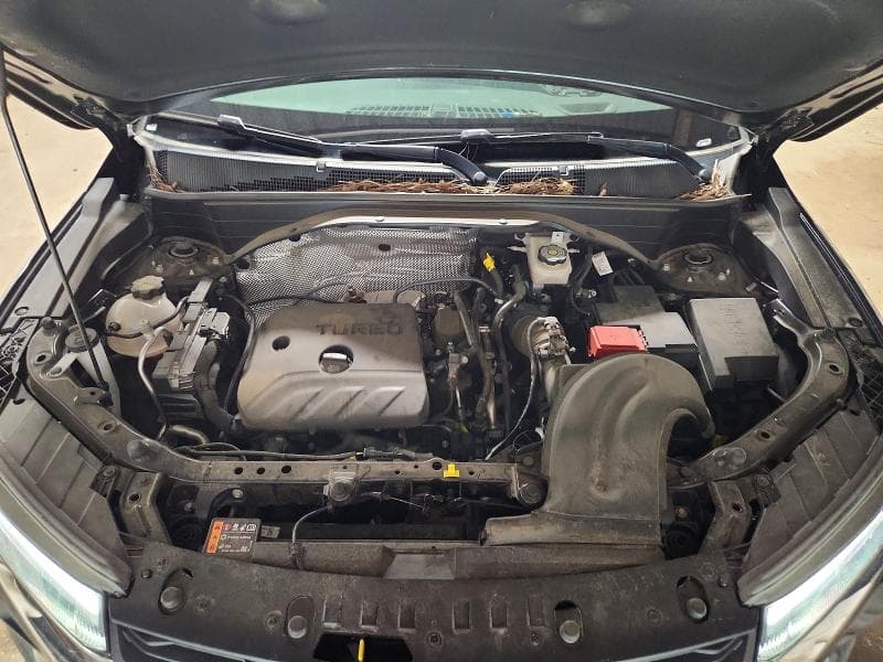 2025 CHEVROLET TRAILBLAZER LT 12