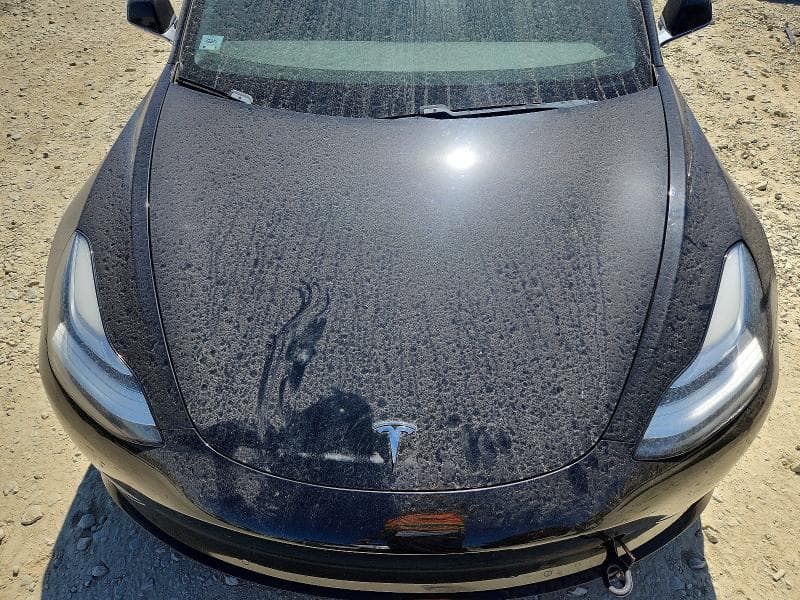 2019 TESLA MODEL 3 11