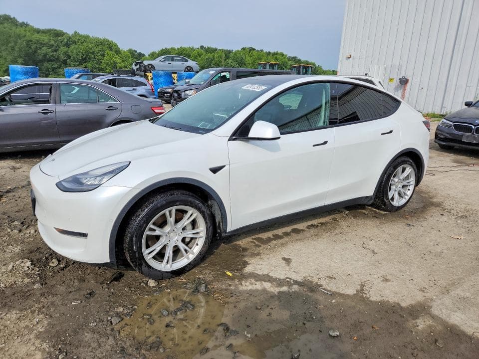 2020 TESLA MODEL Y - 1