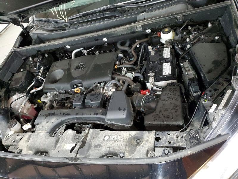 2025 TOYOTA RAV4 XLE 12
