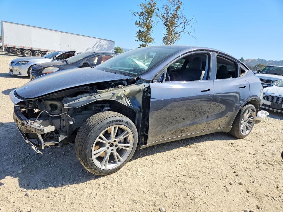 2020 TESLA MODEL Y - 1