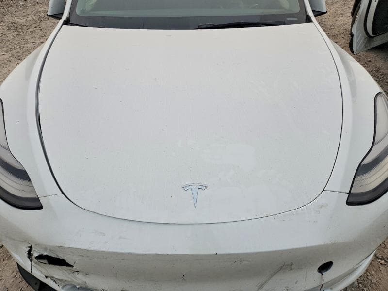 2021 TESLA MODEL Y 11