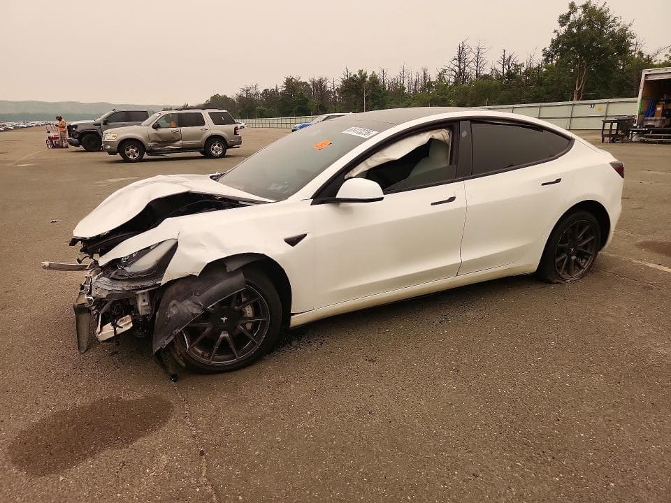 2021 TESLA MODEL 3 - 1