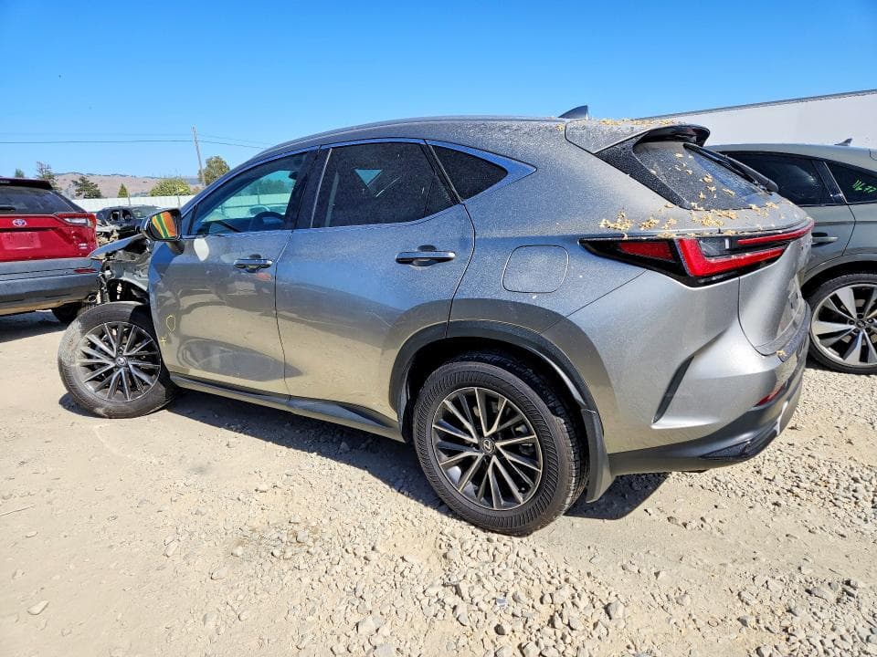 2024 LEXUS NX 250 BASE 2