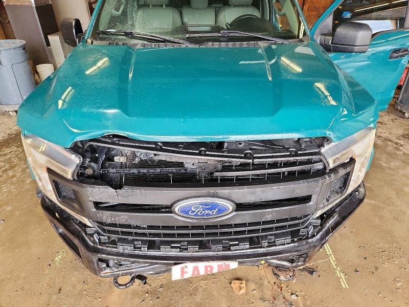 2019 FORD F150 11