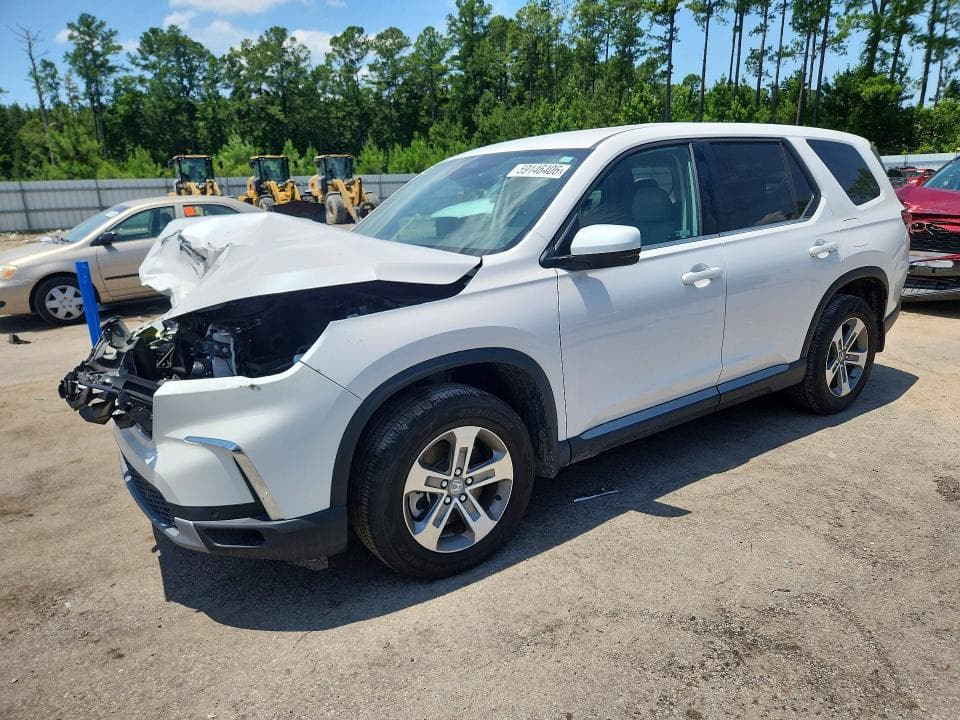 2024 HONDA PILOT EXL - 1