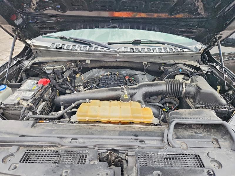 2019 FORD EXPEDITION MAX XLT 12