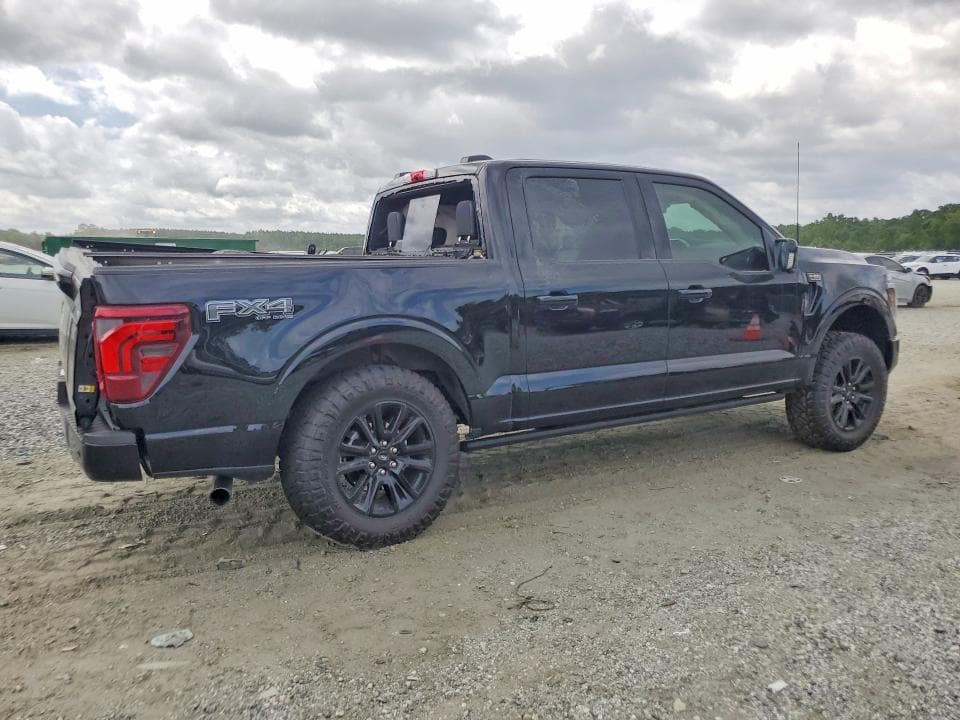 2025 FORD F150 PLATINUM 3