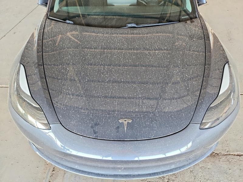 2021 TESLA MODEL 3 11