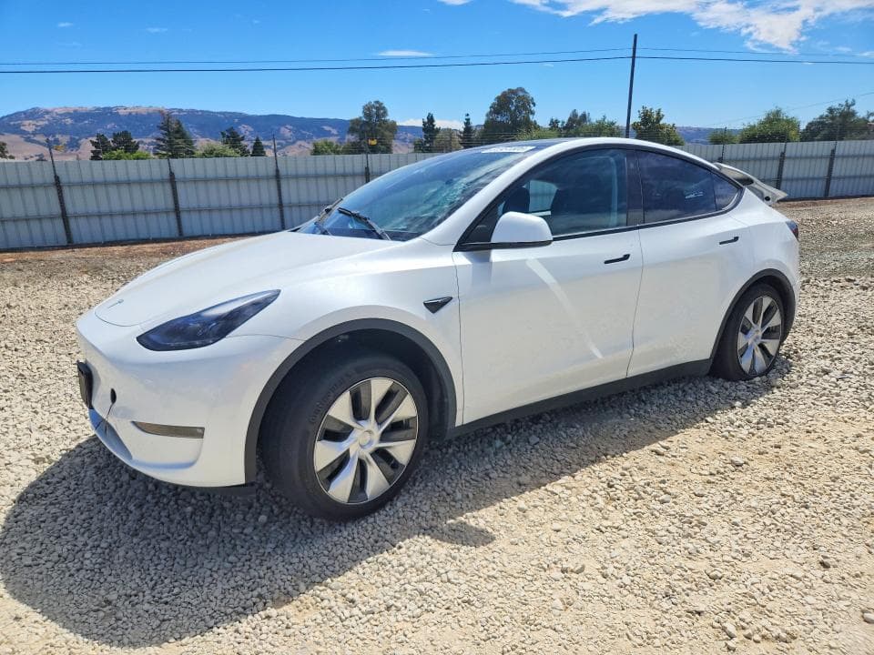 2023 TESLA MODEL Y - 1