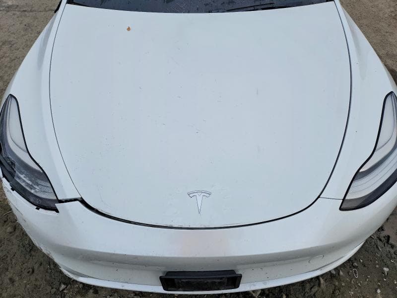 2020 TESLA MODEL Y 11