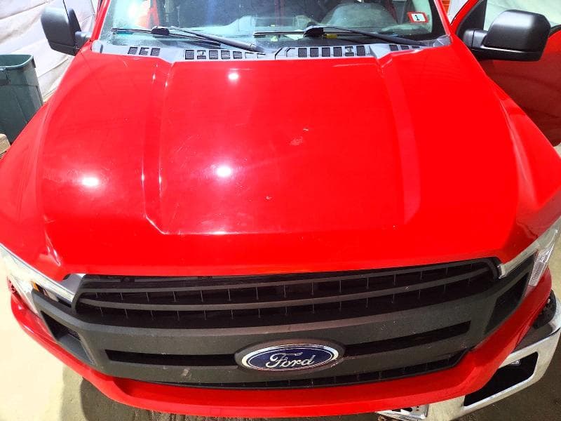 2019 FORD F150 11