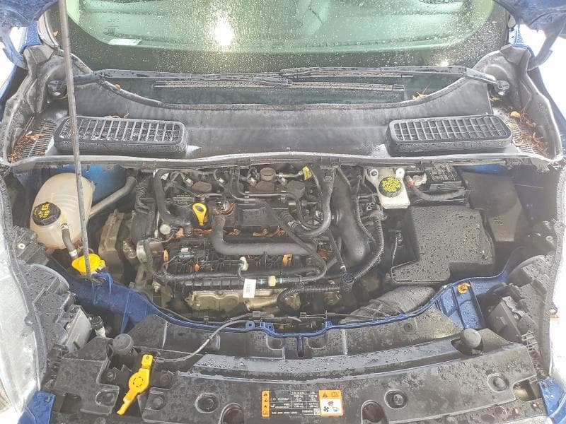 2019 FORD ESCAPE SE 12