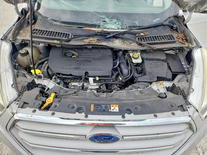 2018 FORD ESCAPE SE 11