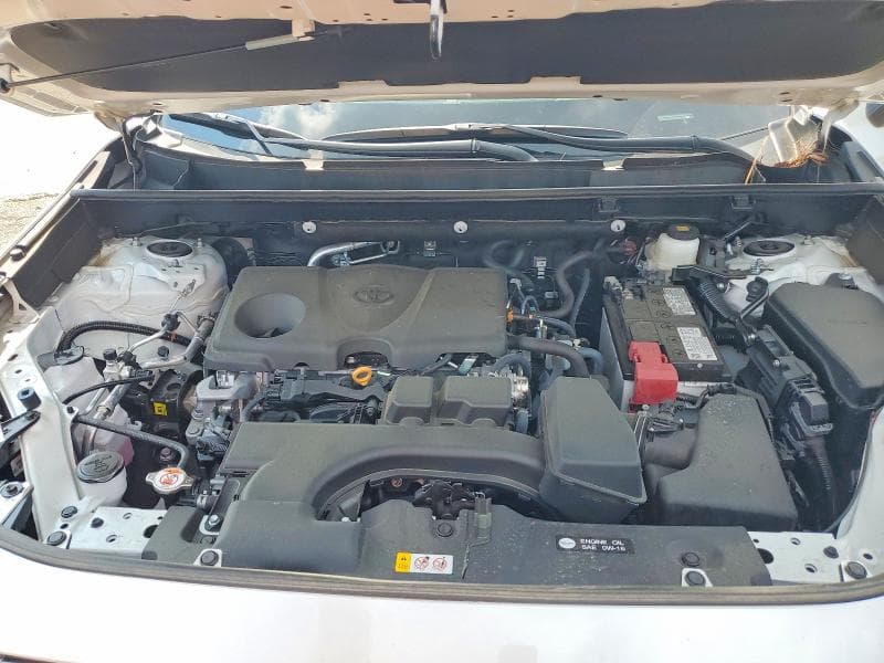 2025 TOYOTA RAV4 XLE PREMIUM 11