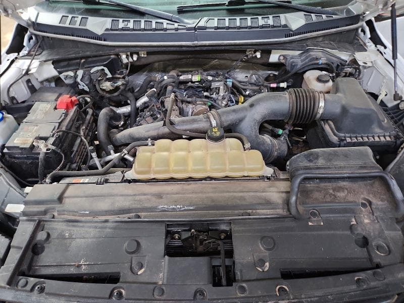 2020 FORD F150 SUPERCREW 11