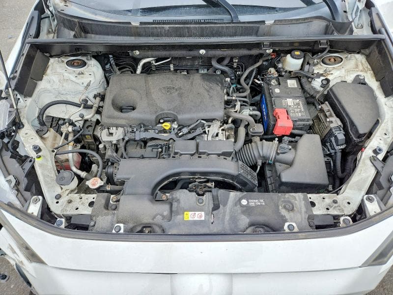 2019 TOYOTA RAV4 LE 12
